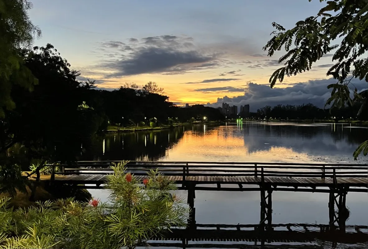 Imagem ilustrativa da imagem #A CIDADE FALA: Um belo cenário