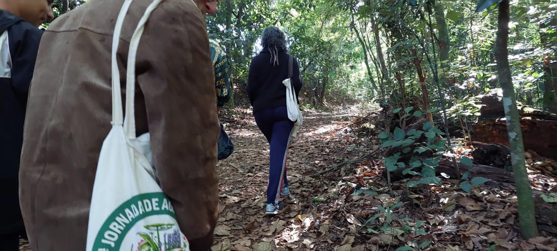 O Arthur Thomas tem oito trilhas, sendo quatro abertas para o público: apreciação de diversas espécies de plantas e animais nativos da Mata Atlântica