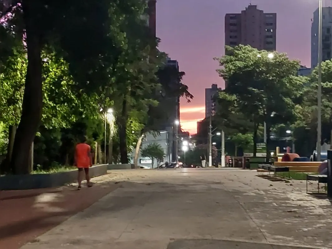 Imagem ilustrativa da imagem #CIDADE FALA - Bosque ao entardecer