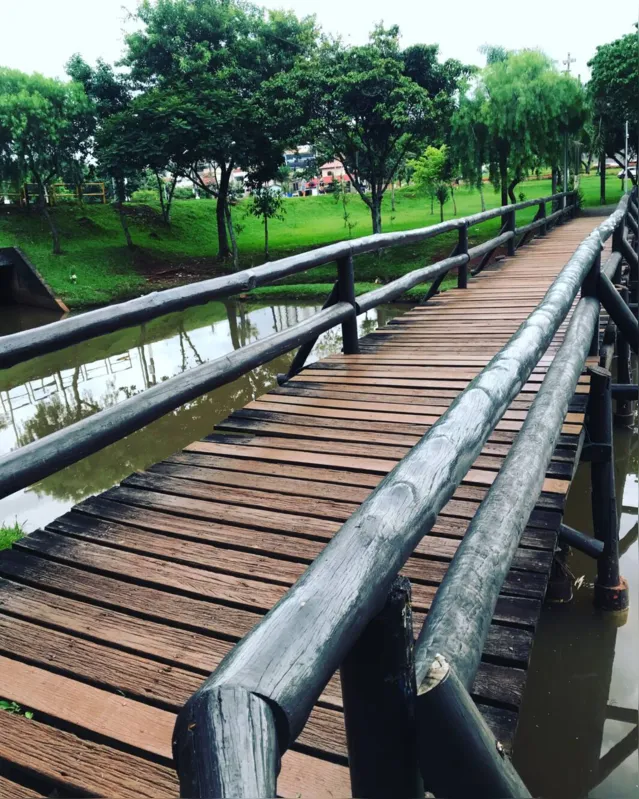 Imagem ilustrativa da imagem CIDADE FALA - Ponte no Igapó