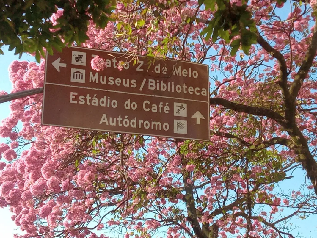 Imagem ilustrativa da imagem #CIDADE FALA -