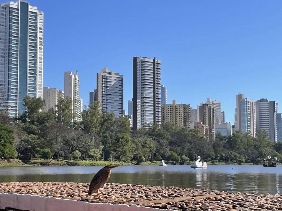 Imagem ilustrativa da imagem CIDADE FALA: Contraste e beleza