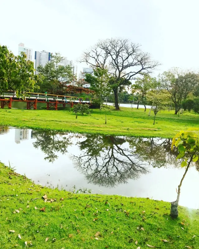 Imagem ilustrativa da imagem #CIDADE FALA: Igapó