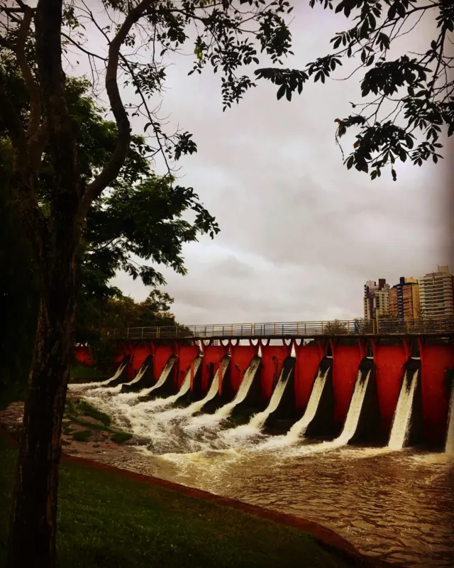 Imagem ilustrativa da imagem CIDADE FALA: Lago Igapó