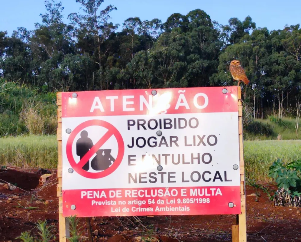 Imagem ilustrativa da imagem #CIDADE FALA: Lixos e entulhos