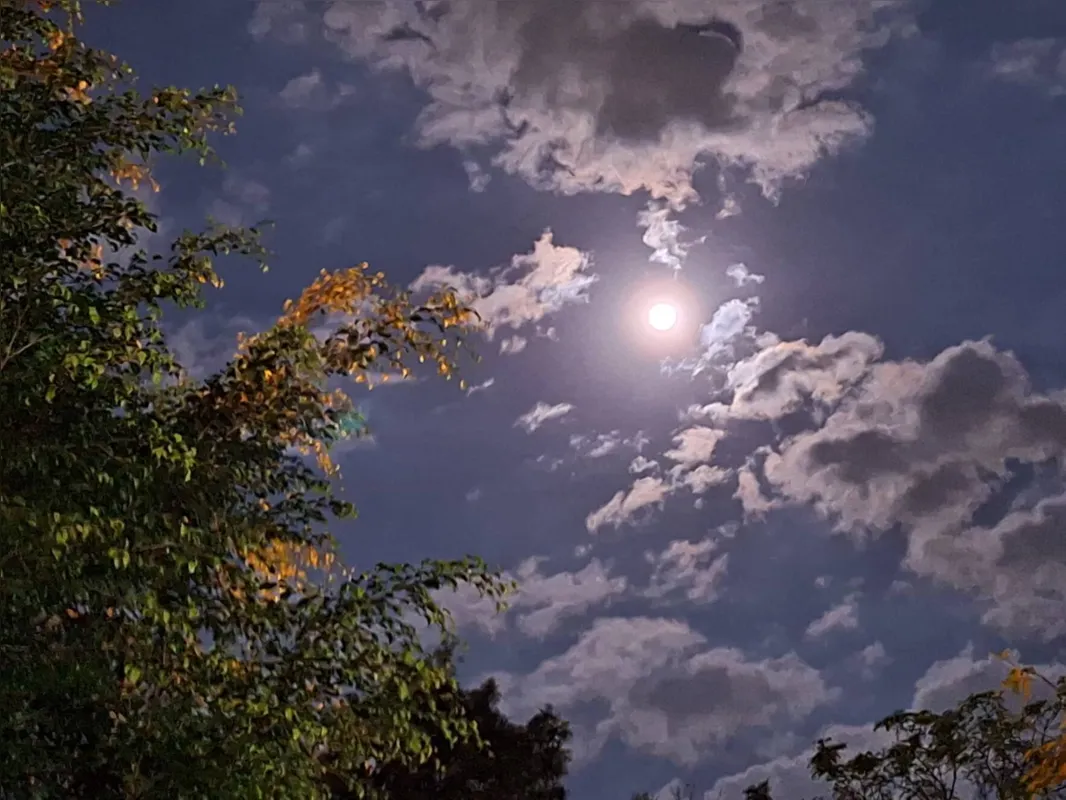 Imagem ilustrativa da imagem #CIDADE FALA: Lua azul
