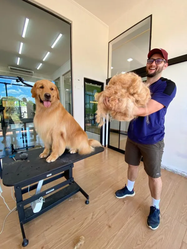 Imagem ilustrativa da imagem Cabelo ou pelo: paranaense encanta a internet com tosas e muito humor