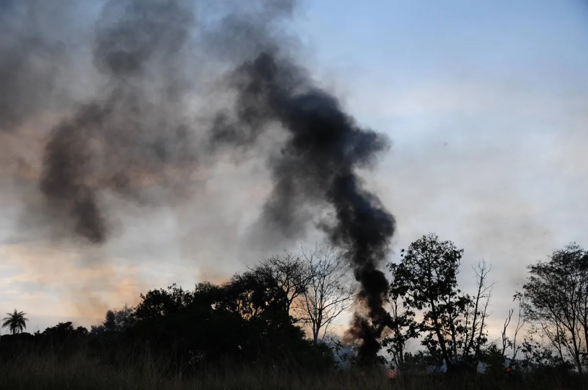 A cada 10 incêndios florestais, nove são causados por alguma irresponsabilidade humana