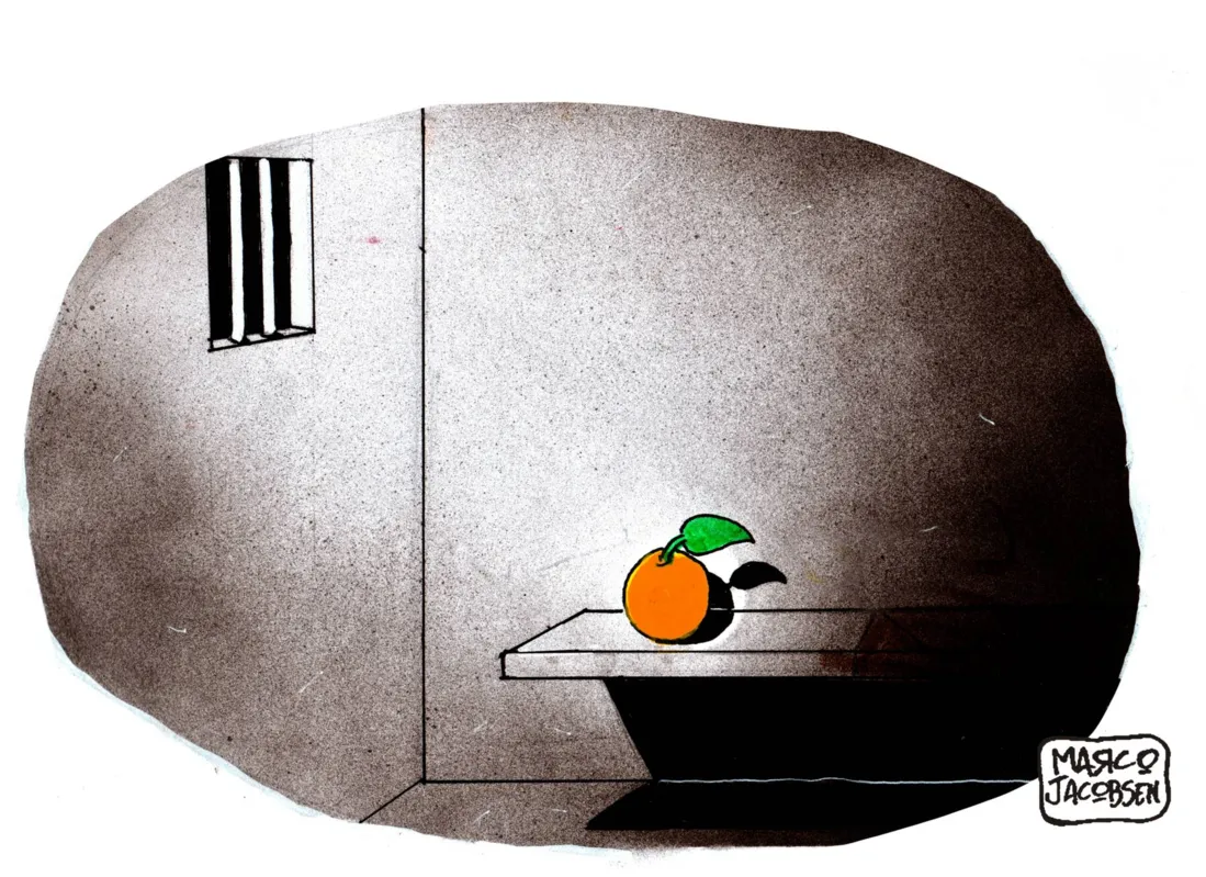 Imagem ilustrativa da imagem Charge 04/05/2023