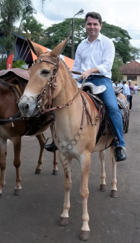 O deputado estadual  Alexandre Curi