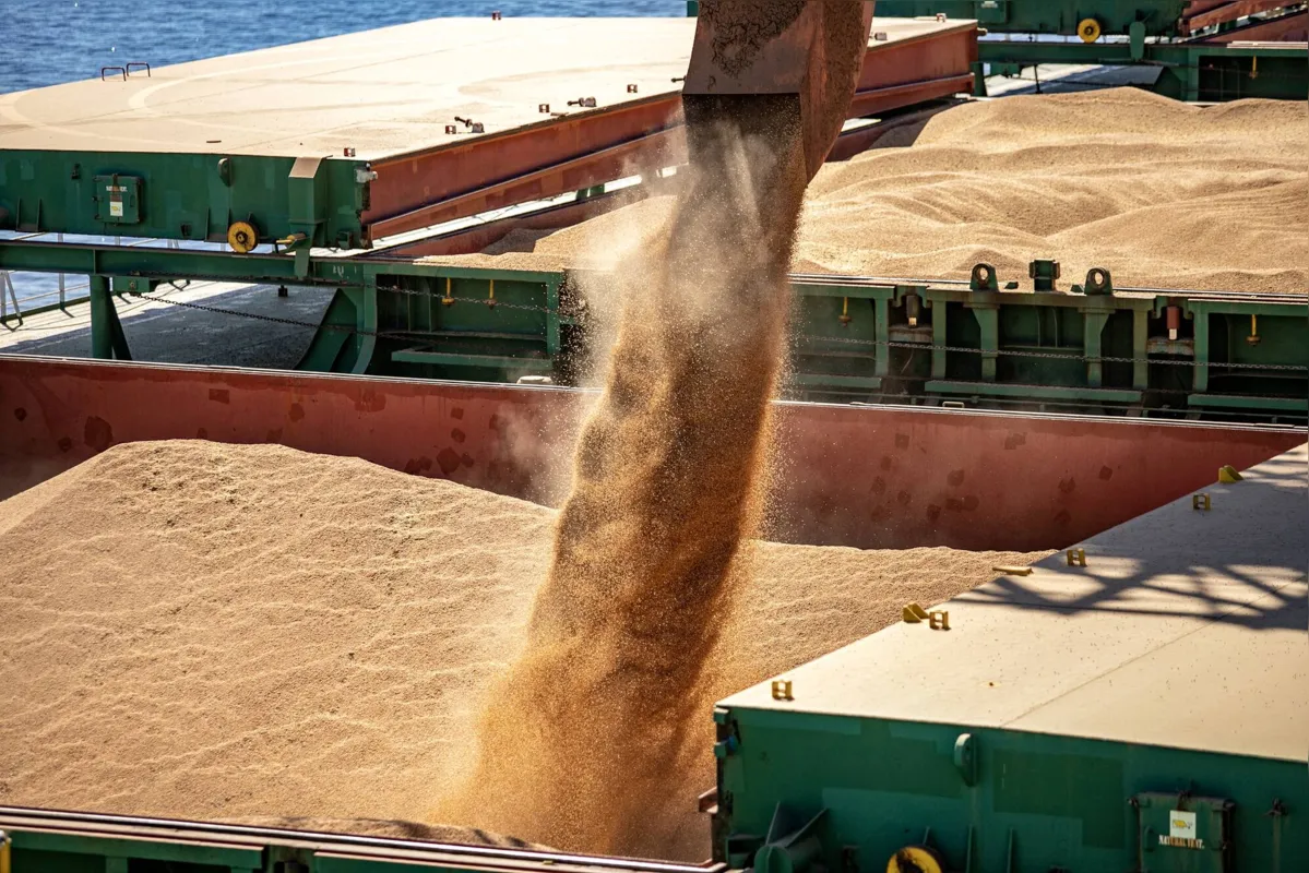 O valor exportado de soja em grãos alcançou US$ 6,89 milhões (+9,3%), também recorde para os meses de junho