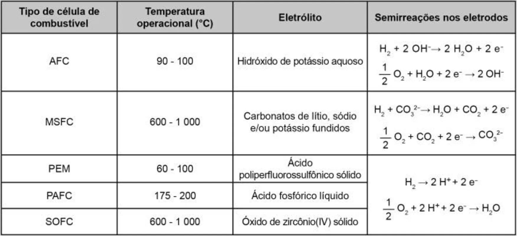 Imagem ilustrativa da imagem FOLHA ENEM - Caderno 4  - Ciências da Natureza e suas tecnologias