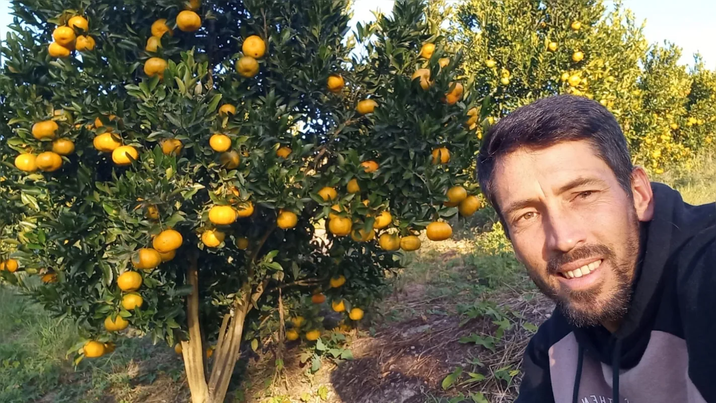 Valmir dos Santos Fermino já ganhou quatro vezes o concurso de produtor da melhor ponkan. Júri analisa sabor e beleza