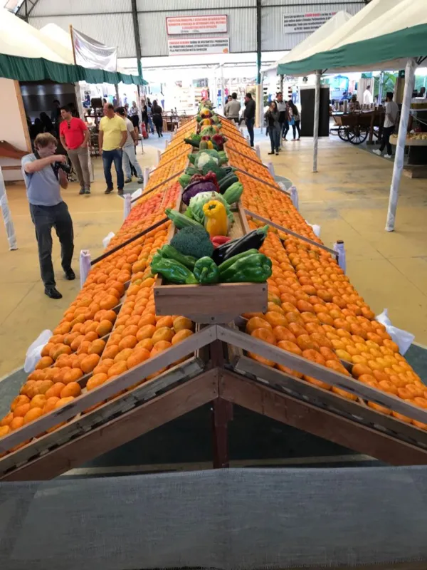 Edição anterior da Festa da Ponkan; evento tem a expectativa de atrair 10 mil visitantes neste ano