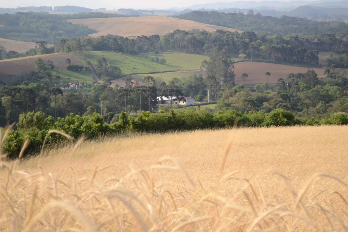 O Cadastro Ambiental Rural  é um registro público e obrigatório para todos os imóveis rurais