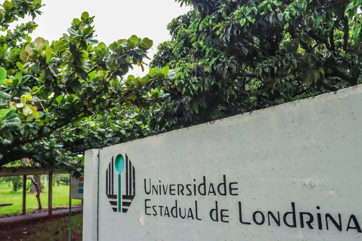 Imagem ilustrativa da imagem Guia para o calouro da UEL: confira o que a instituição oferece