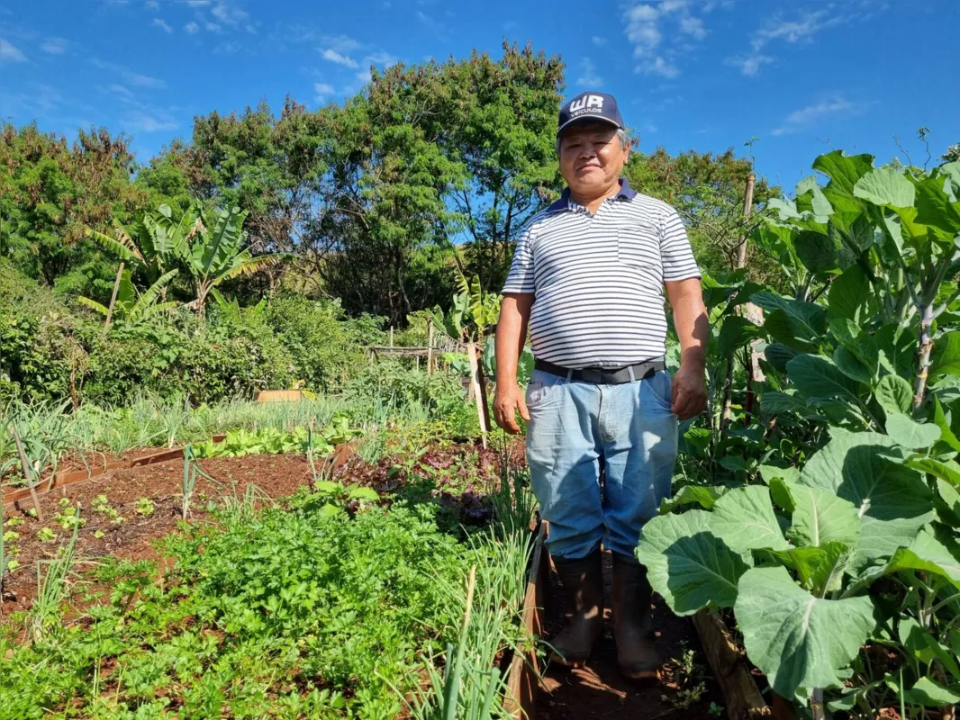 Sitoko Nakasa cultiva almeirão, alface, espinafre, beterraba, rúcula, cebolinha, salsinha, couve e coentro em uma área na zona leste