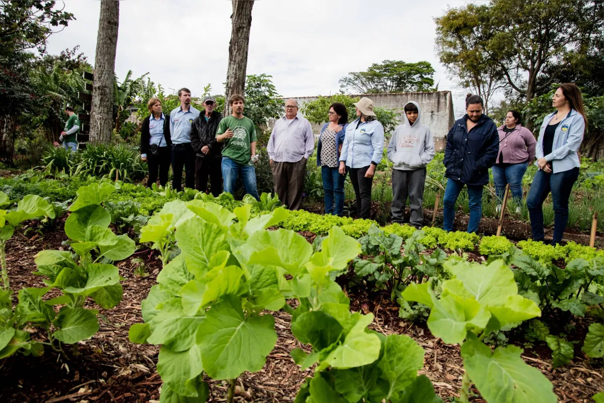 Imagem ilustrativa da imagem Horta solidária de Apucarana busca certificação de cultivo orgânico