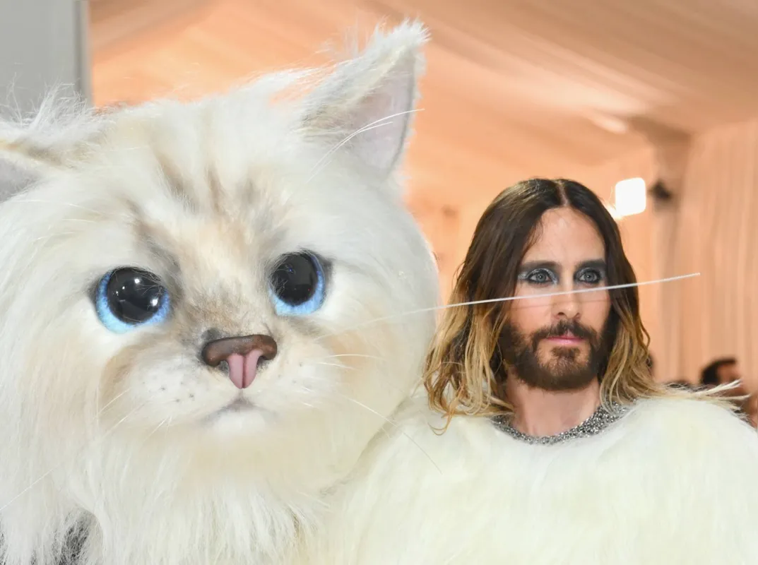 Como um personagem do "furry fandom", Jared Leto estava realmente invisível dentro de uma roupa de gato branco