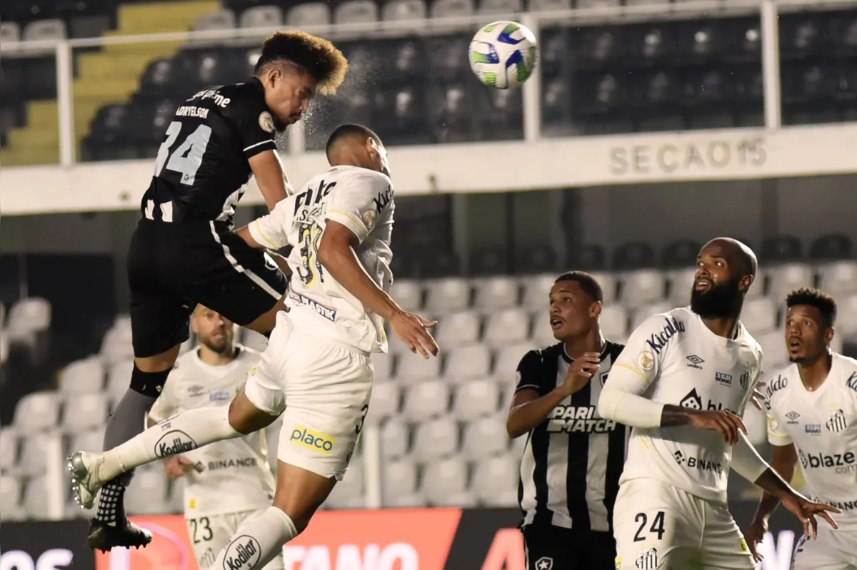 O zagueiro Adryelson subiu no "terceiro andar" e empatou para o Botafogo 
aos 41 da etapa final