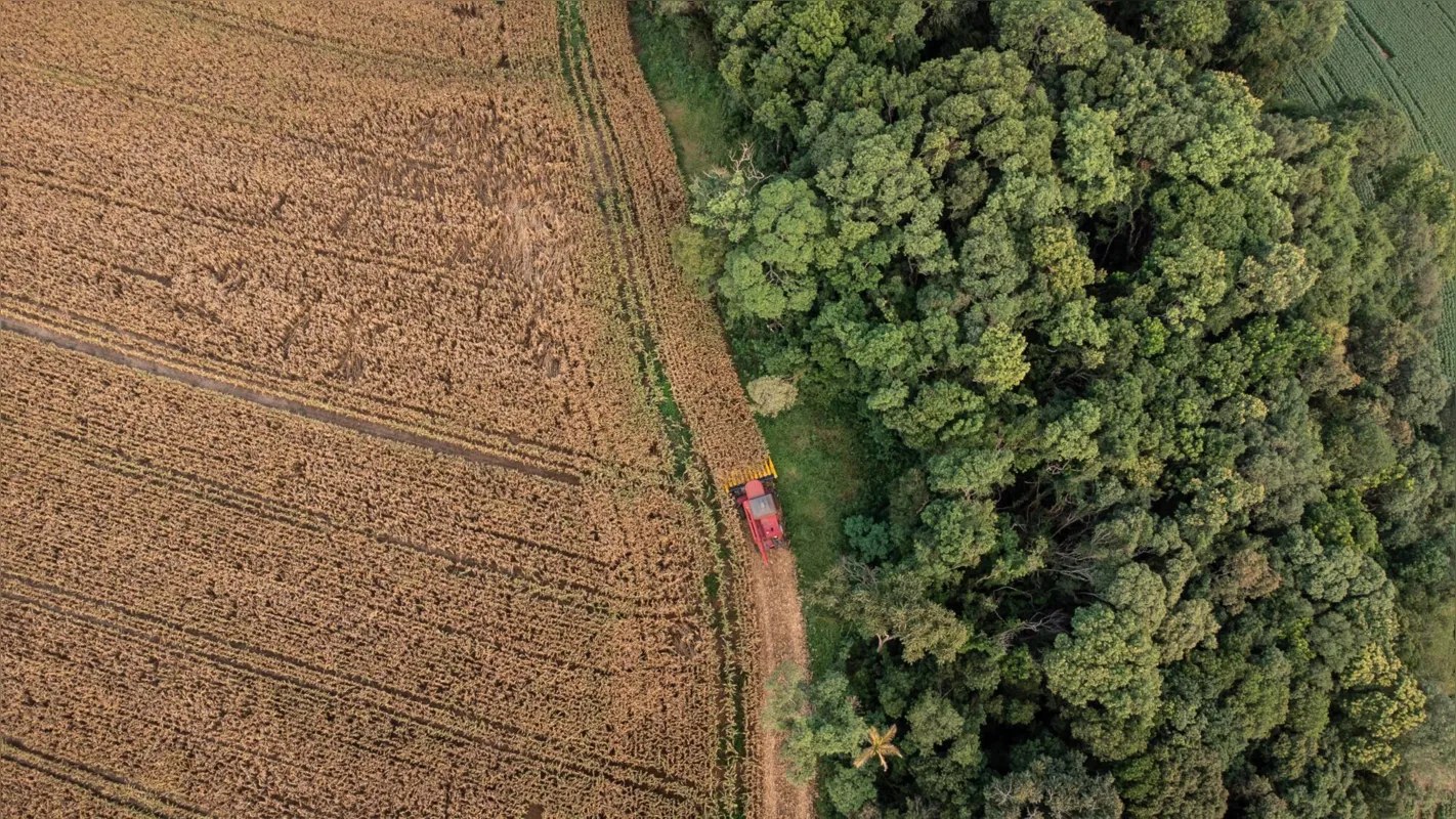 O ICMS Ecológico por Biodiversidade é uma das modalidades mais consolidadas no Paraná
