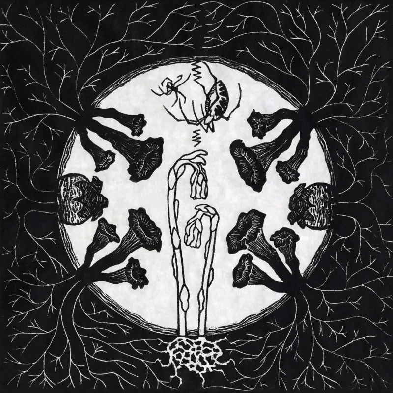Capa de “Tarantism”, do Magic Tuber Stringband