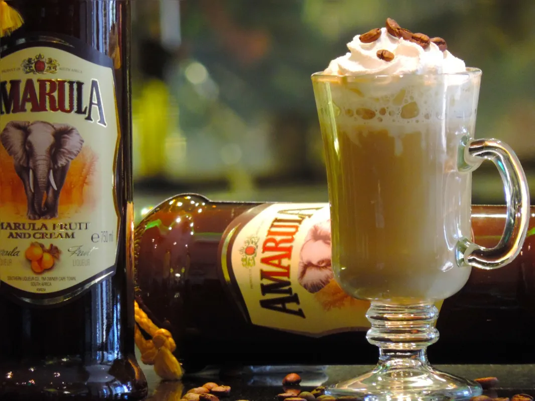 Para tomar misturado ao café ou em receitas mais elaboradas, o licor de Amarula dá um toque de sofisticação e cremosidade às outras bebidas