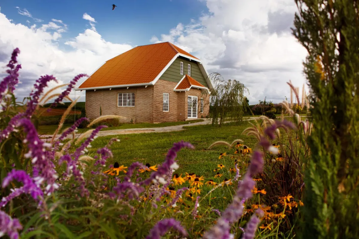 Os belíssimos cenários da Rota da Lavanda abrem mais uma opção de turismo rural no Estado