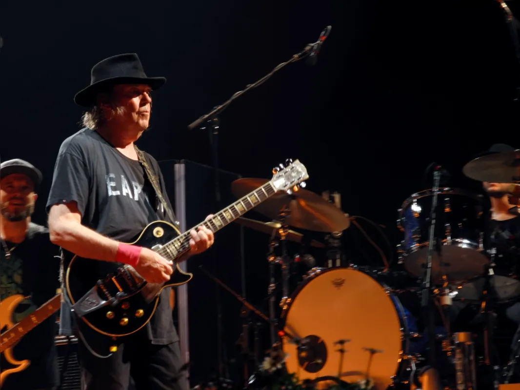 Neil Young, o homenageado pelo nome da espécie de aranha