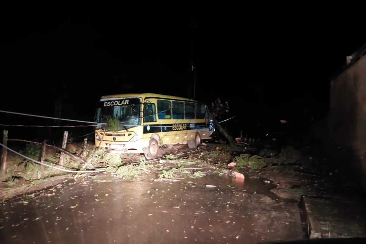 Imagem ilustrativa da imagem Rajadas de vento de quase 70 km/h derrubam árvores em Londrina