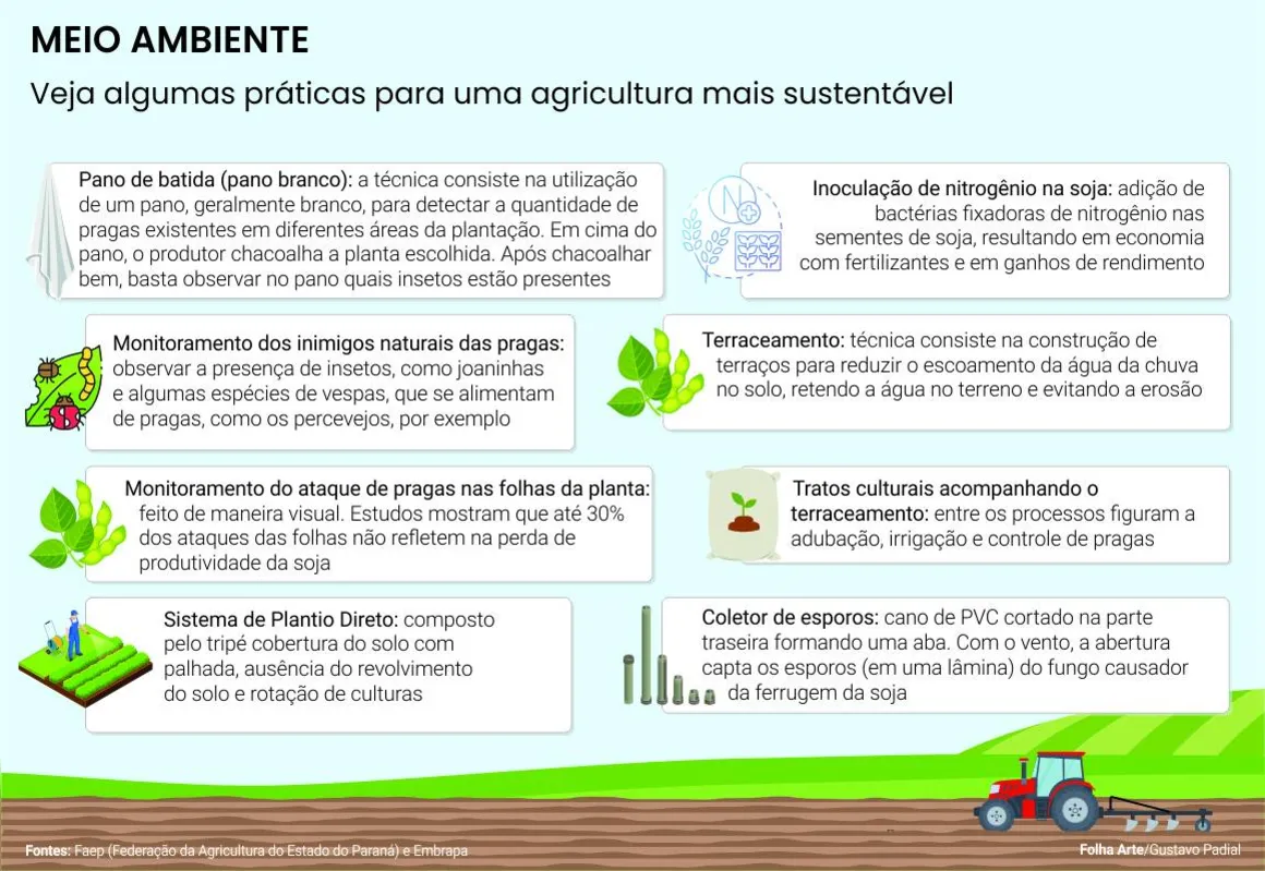 Imagem ilustrativa da imagem Seminário ensina técnicas de produção agrícola mais sustentável