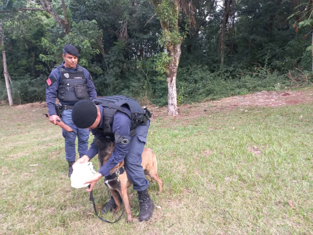Guarda Municipal ajudou nas buscas com cães farejadores