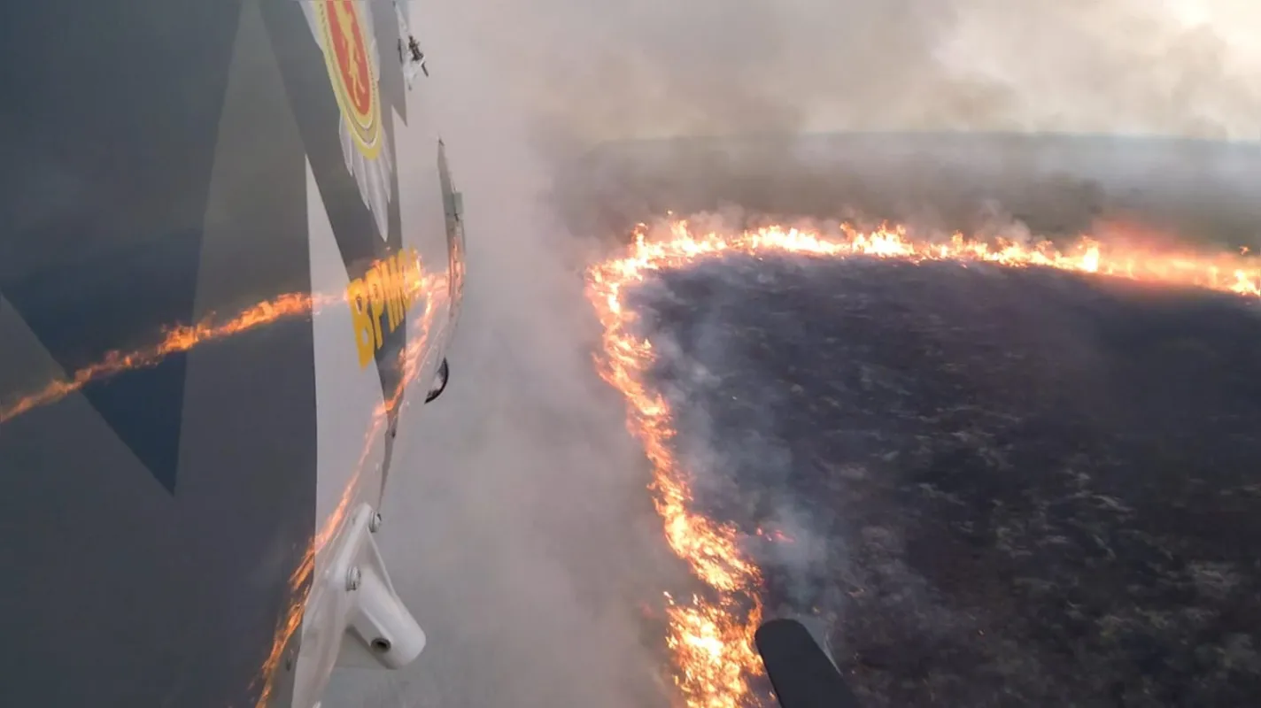 Imagem ilustrativa da imagem Simepar divulga VFogo, plataforma tecnológica de vigilância de incêndios