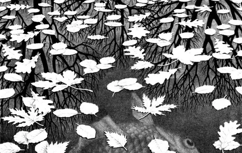 Três Mundos, de Escher
