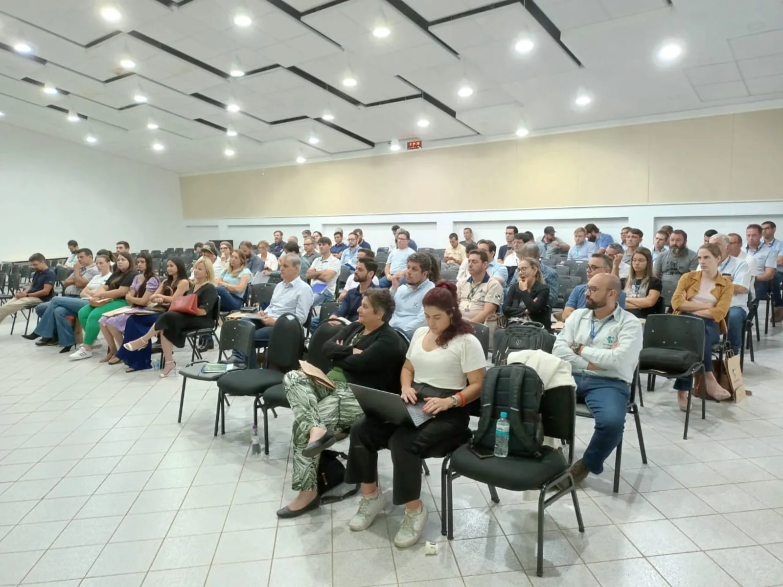 Workshop reuniu um grupo de pessoas interessadas ou impactadas pela mortandade de abelhas para discutir e elaborar diretrizes para um protocolo técnico