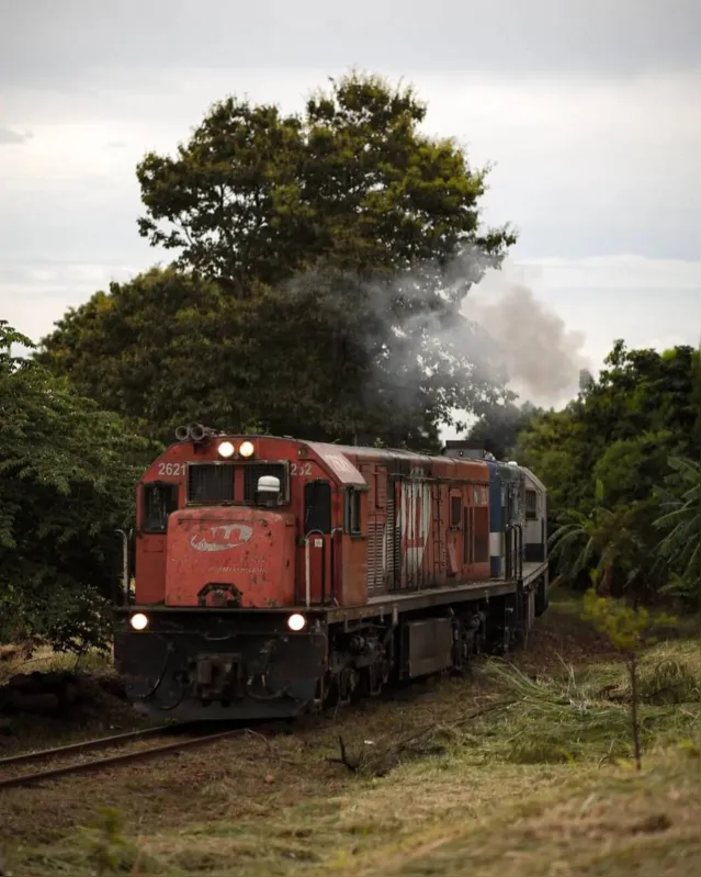 Imagem ilustrativa da imagem A passagem do último trem e a saudade anunciada