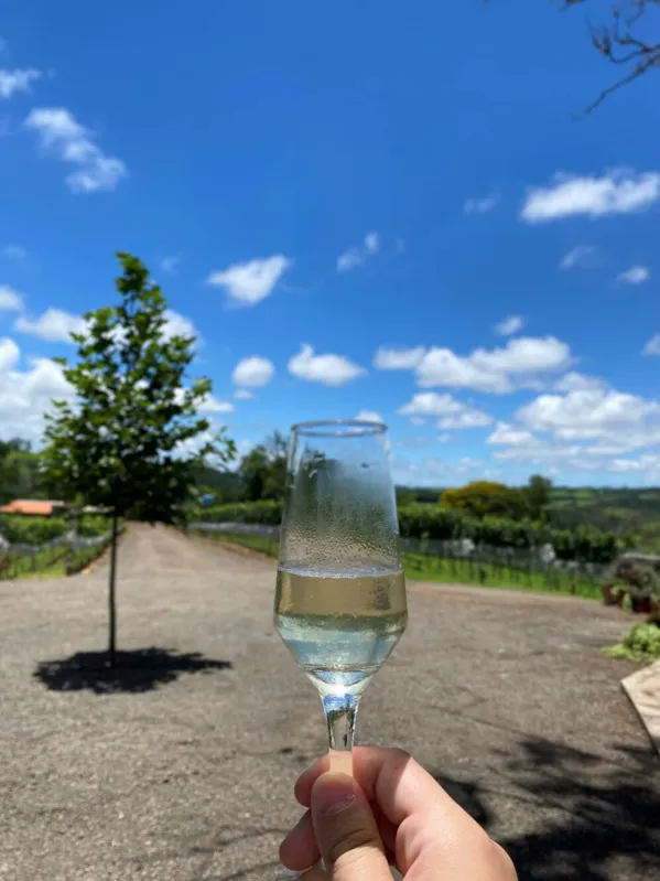Vinícola Casa Carnasciali: na Serra de Apucarana a produção de um bom vinho e gastronomia caprichada