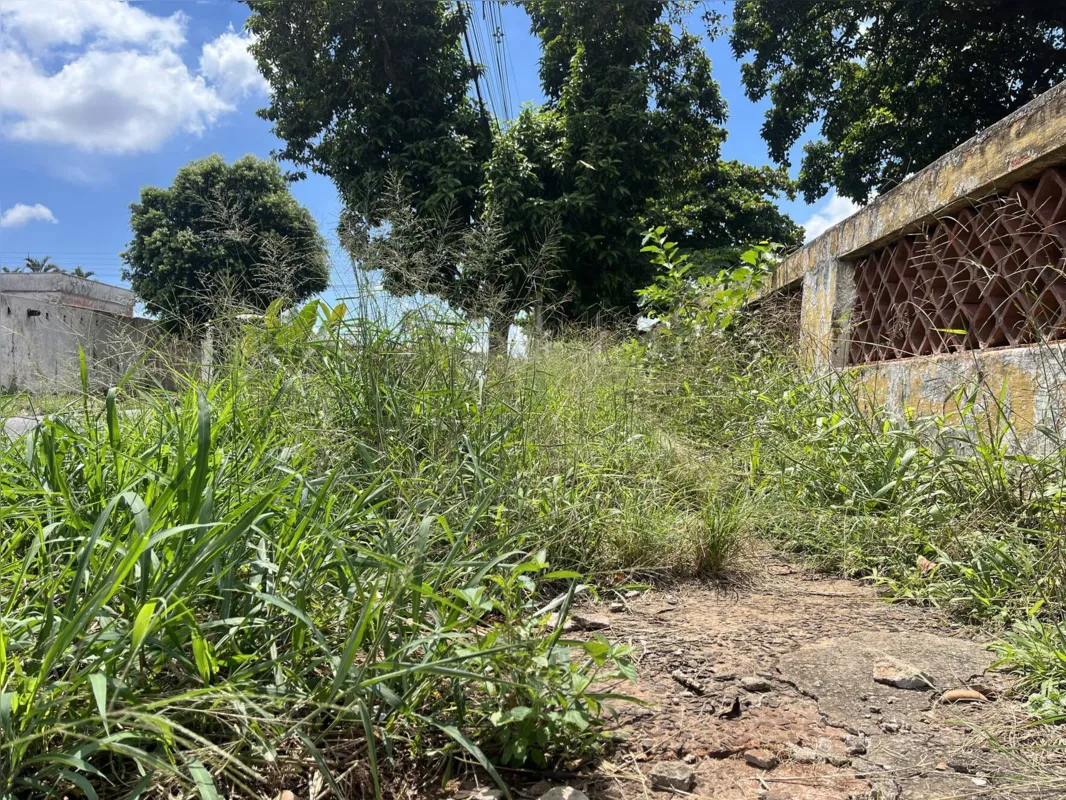 Matagal também tomou conta da calçada, impedindo a passagem de pedestres