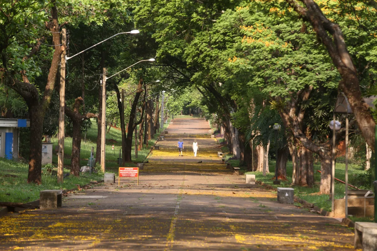 Participantes irão fazer a limpeza por todo o Calçadão, além de áreas próximas às lixeiras e na entrada dos centros