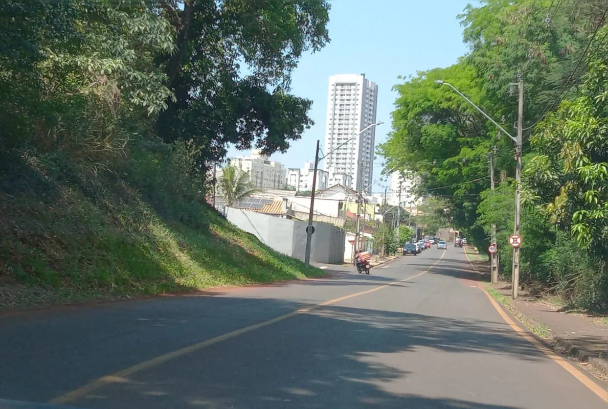 Imagem ilustrativa da imagem CIDADE FALA: Árvores contra o calor