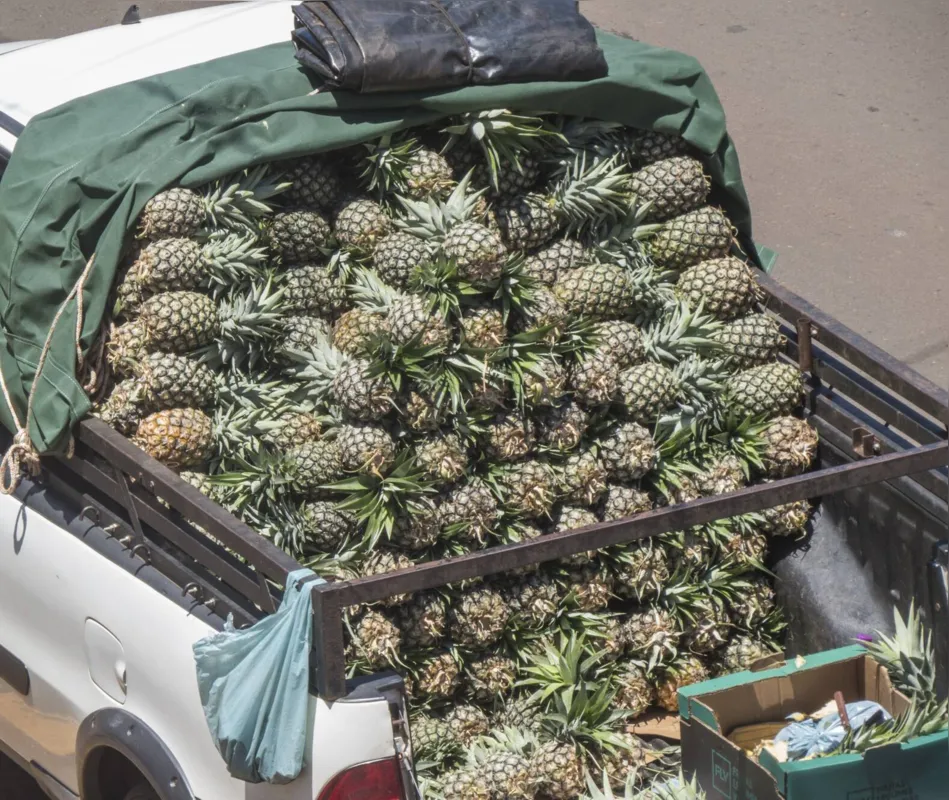 Imagem ilustrativa da imagem #CIDADE FALA: Carro do som