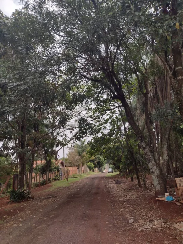 Imagem ilustrativa da imagem CIDADE FALA: