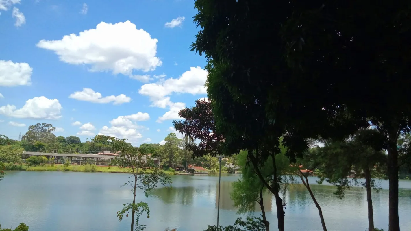Imagem ilustrativa da imagem CIDADE FALA