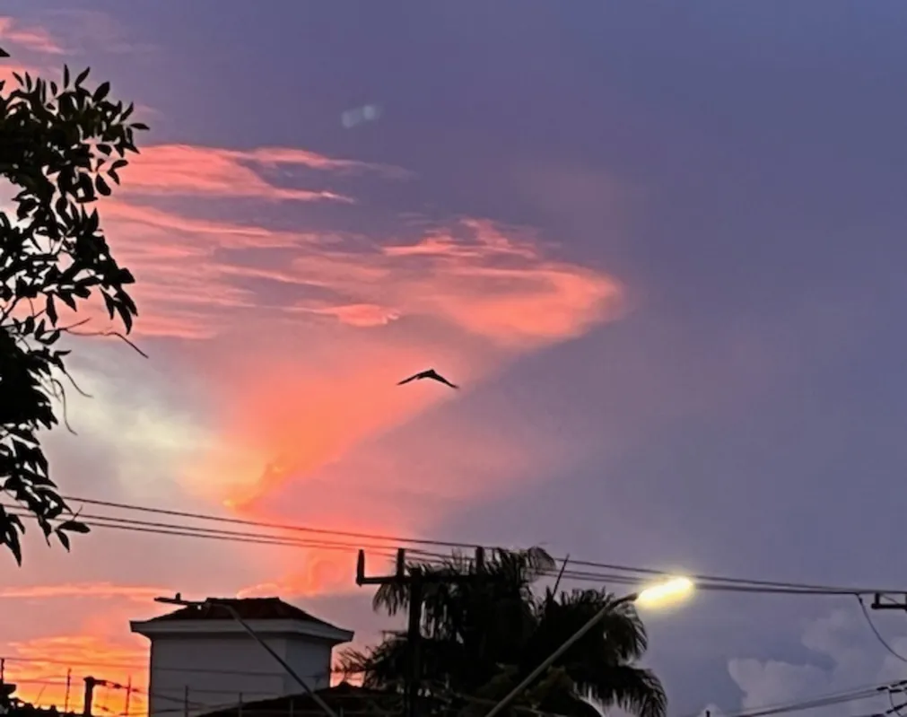 Imagem ilustrativa da imagem CIDADE FALA