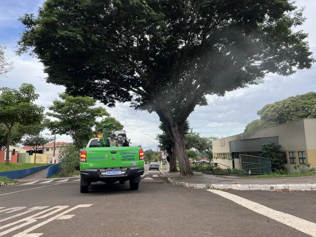 Imagem ilustrativa da imagem Com ‘situação preocupante’, Londrina terá fumacê para combater a dengue