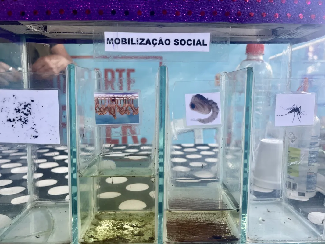 Em um cenário em que casos de dengue crescem em Londrina, Via Rural busca conscientizar os visitantes sobre como prevenir o aumento de casos