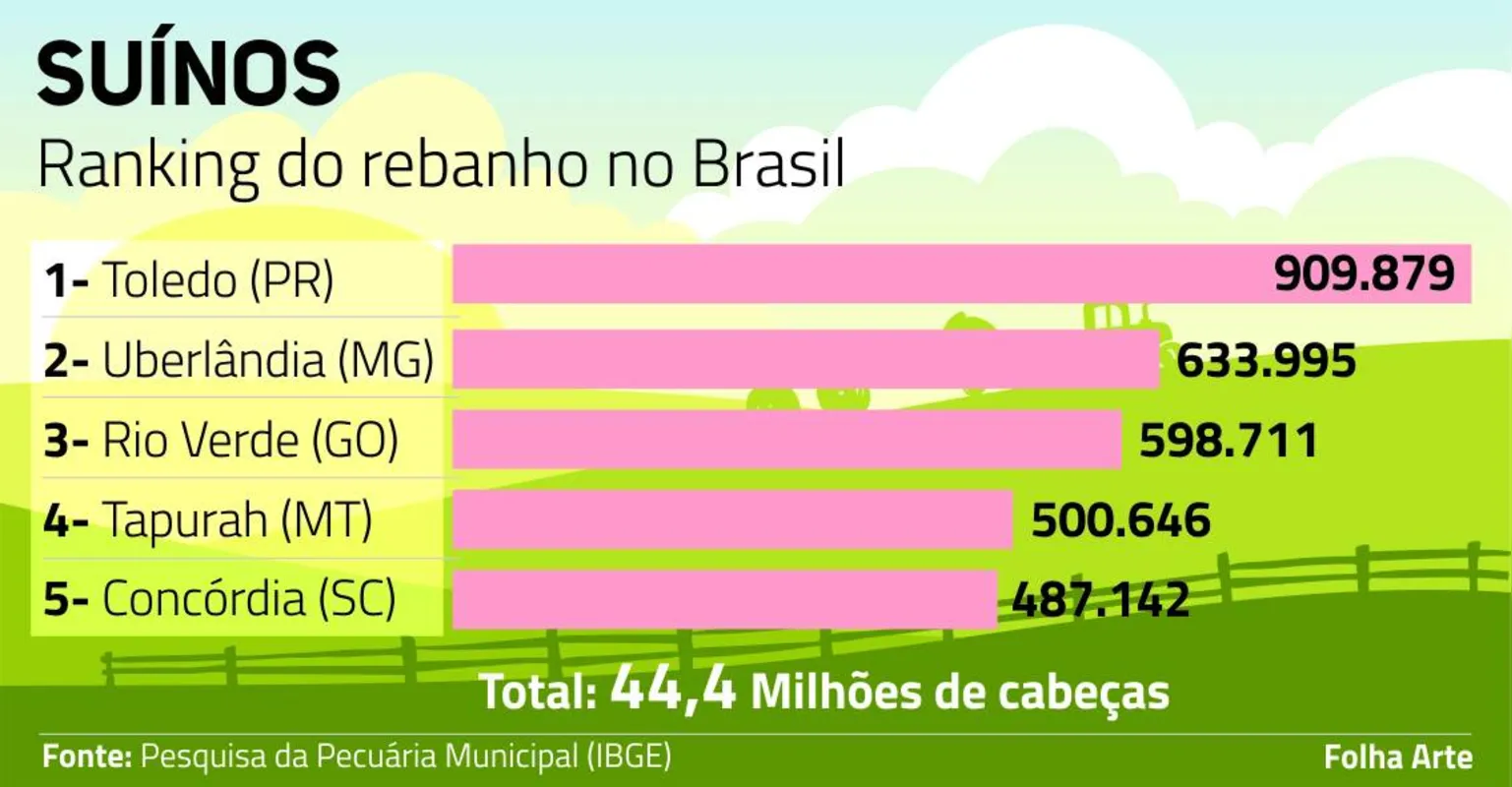Imagem ilustrativa da imagem Conquistas e desafios dos paranaenses líderes da pecuária nacional