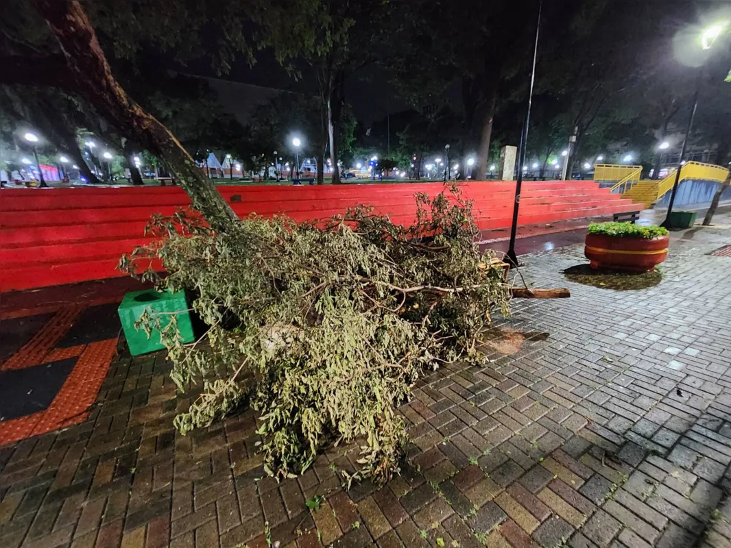 Defesa Civil informou que as rajadas de vento chegaram a 56 quilômetros por hora