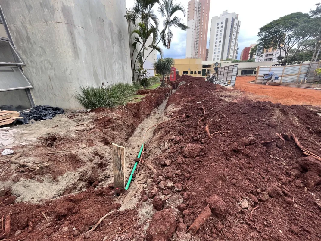 Imagem ilustrativa da imagem Empresa contesta multa da Sema por erradicação de árvores na Câmara