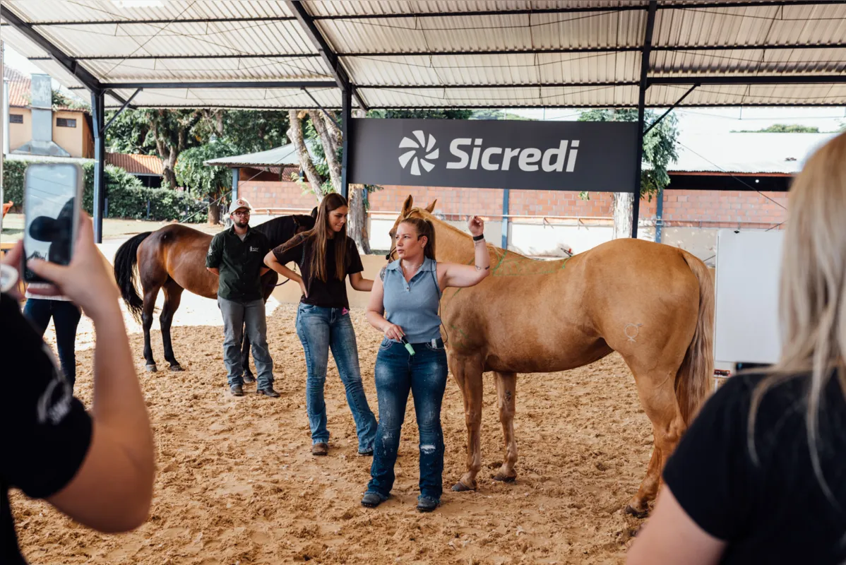 SIMPOSIO EQUIODEOCULTURA
